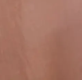 Wild Rose limewash paint