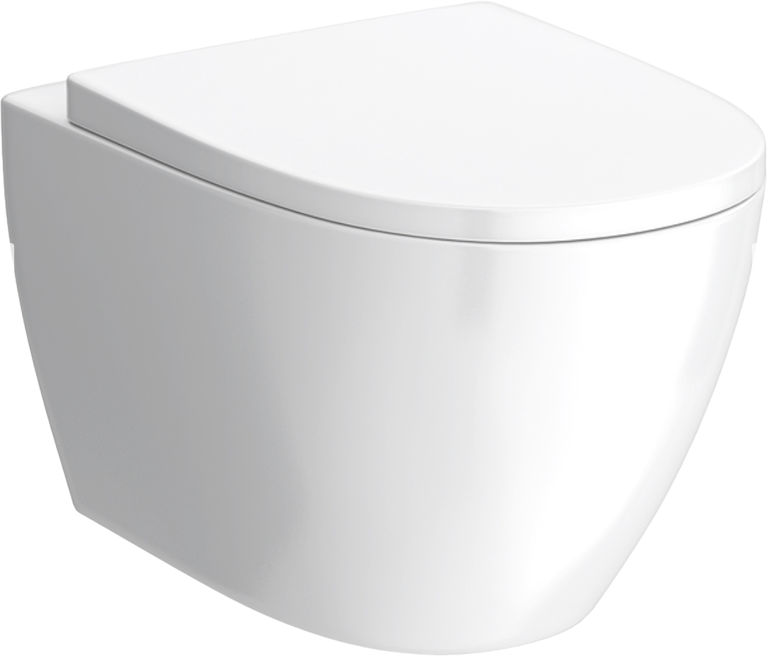 EcoDelux Gloss White WhirlFlush Wall Hung Pan & Soft Close Seat