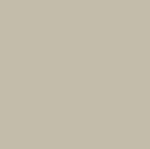 'Rolling Fog' Warm Neutral Brown Paint