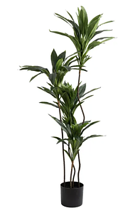 Artificial Real Touch Dracaena